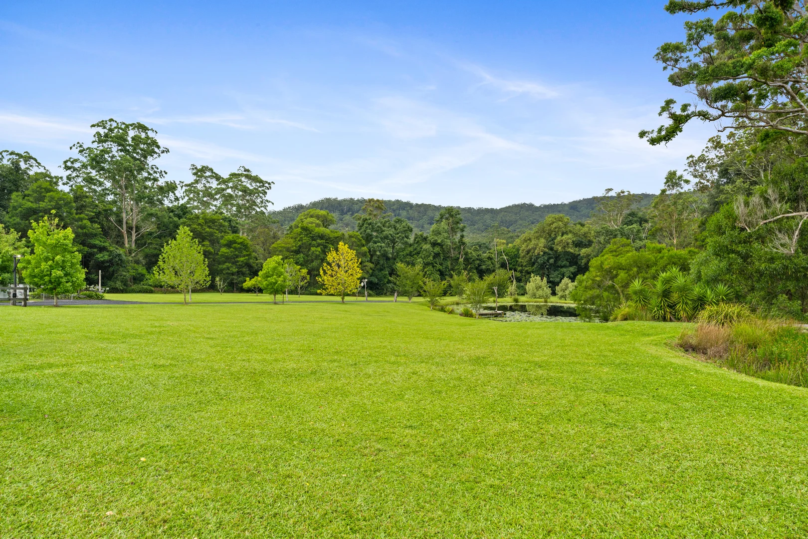 Additional image 25 of 1780 Dooralong Road, Lemon Tree NSW 2259