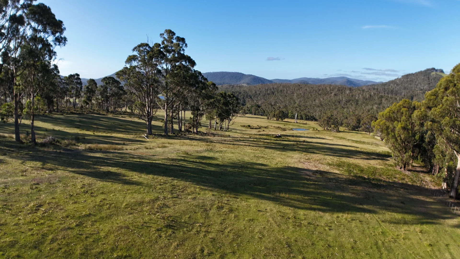 Additional image 7 of 2090 Arthur Highway, Copping TAS 7174