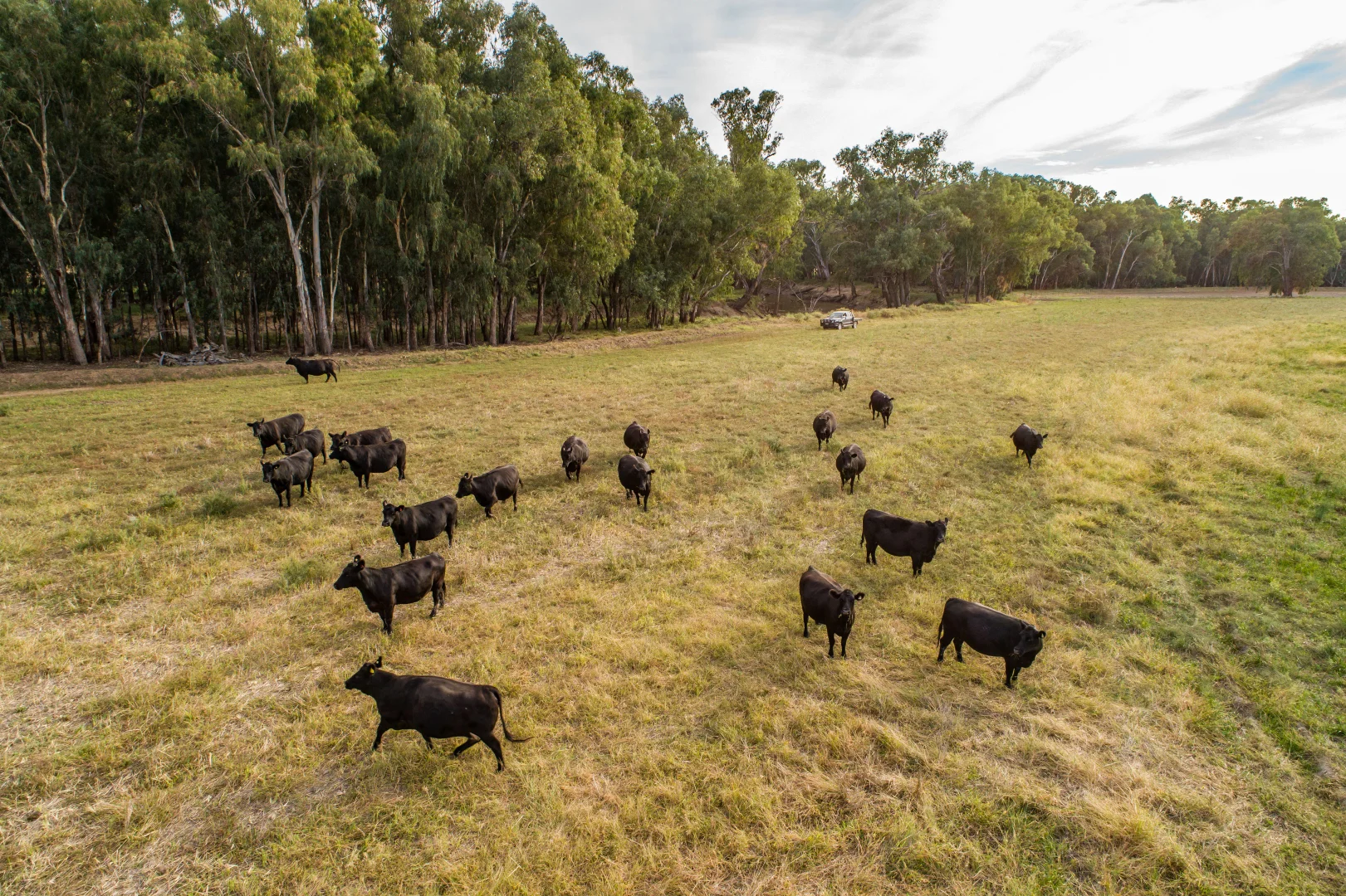 Additional image 10 of 4005 Lachlan Valley Way, Forbes NSW 2871