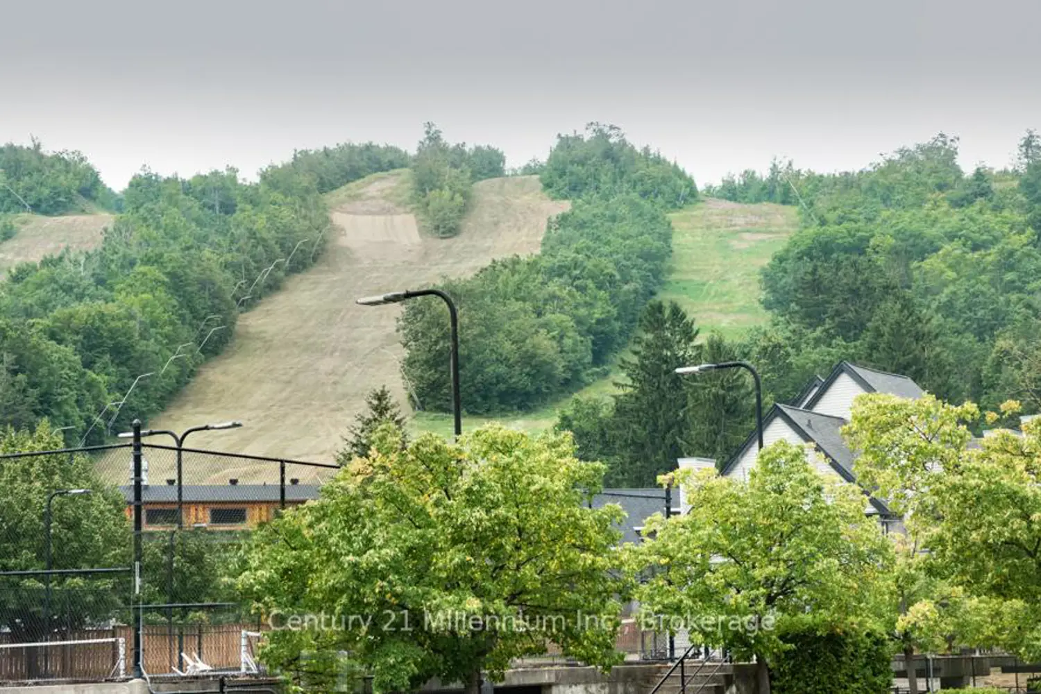 Additional image 17 of 796468 Grey 19 Road 110