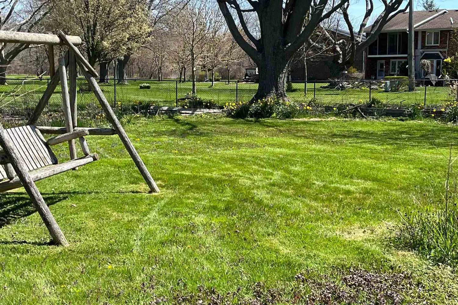 Additional image 16 of 335 Robson Road