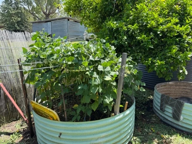 Additional image 10 of 4138 Yetman Rd Graman, Inverell NSW 2360