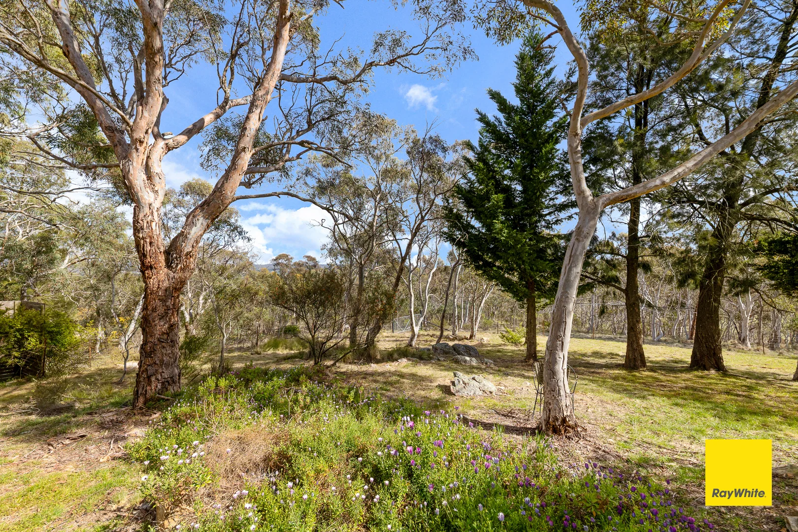 Additional image 22 of 697 Bungendore Rd, Bywong NSW 2621