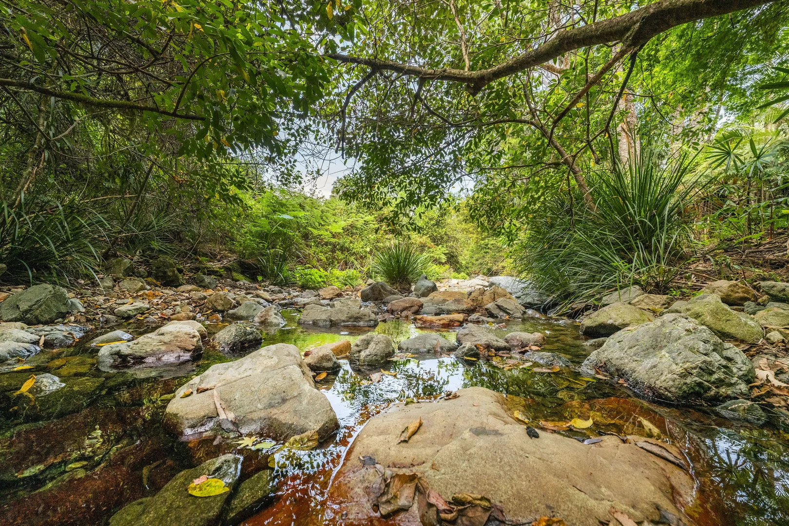 Additional image 16 of 109 Little North Arm Road, Bellingen NSW 2454