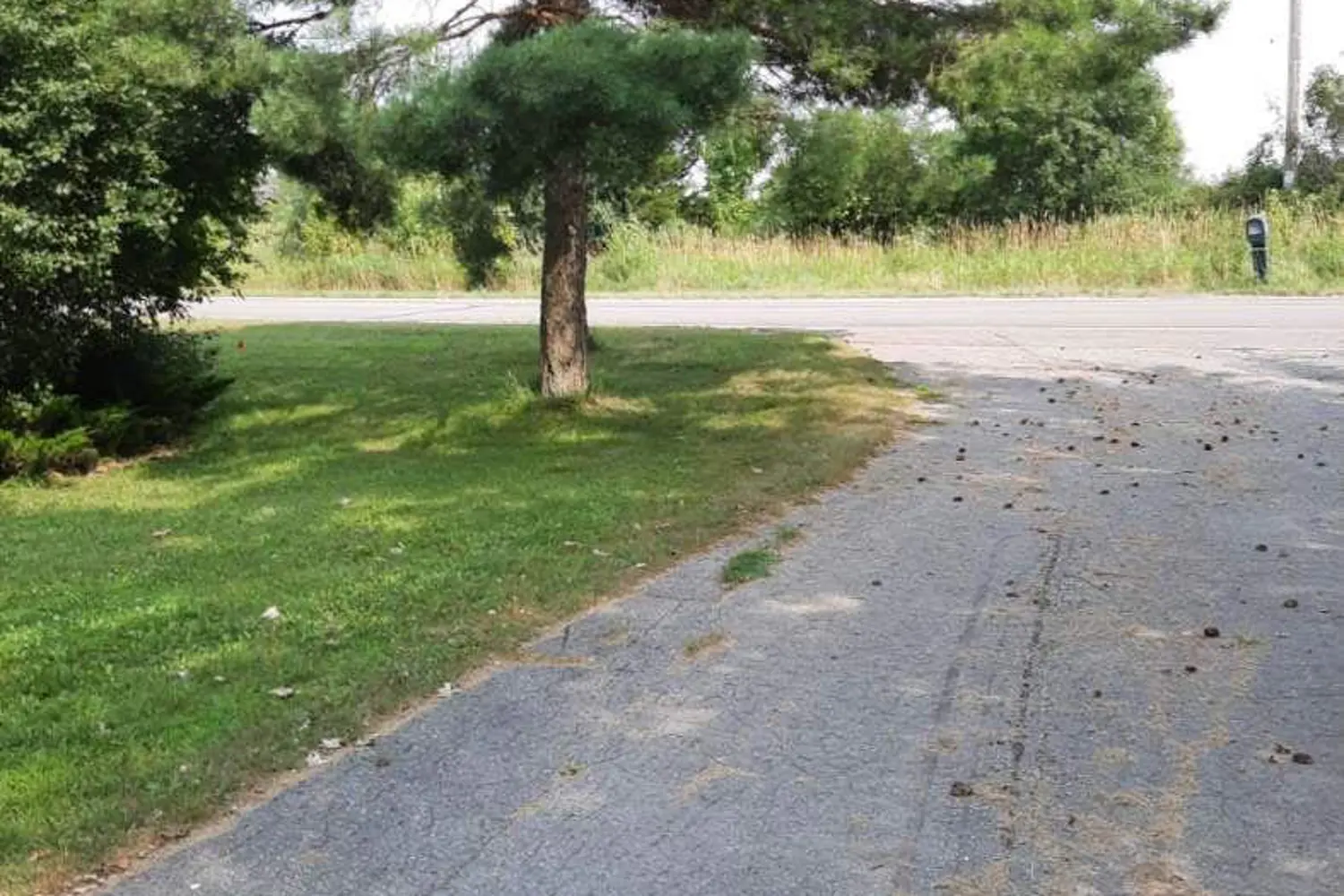 663 County Rd 15 photo 3