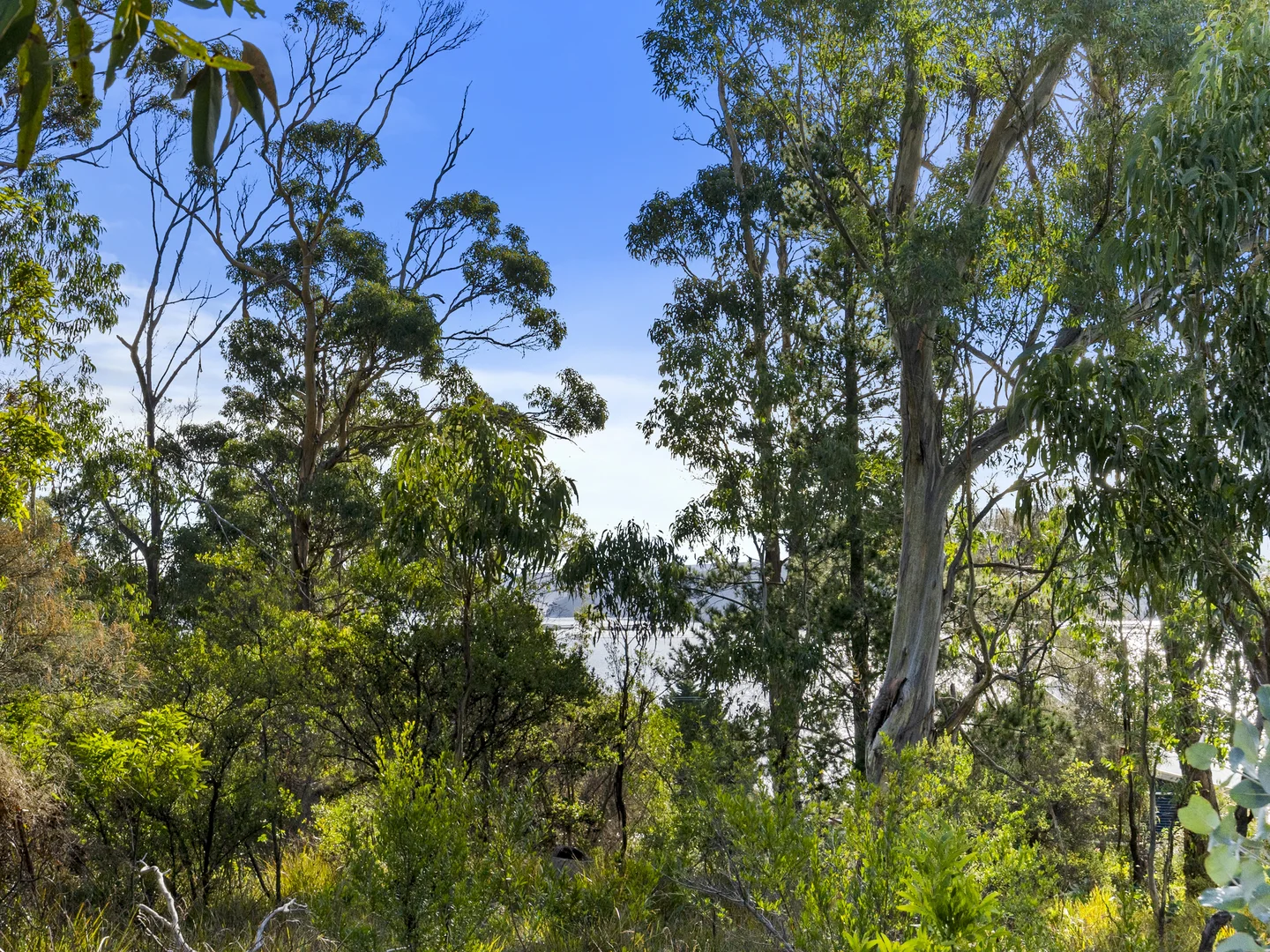 Additional image 16 of 573 White Beach Road, White Beach TAS 7184