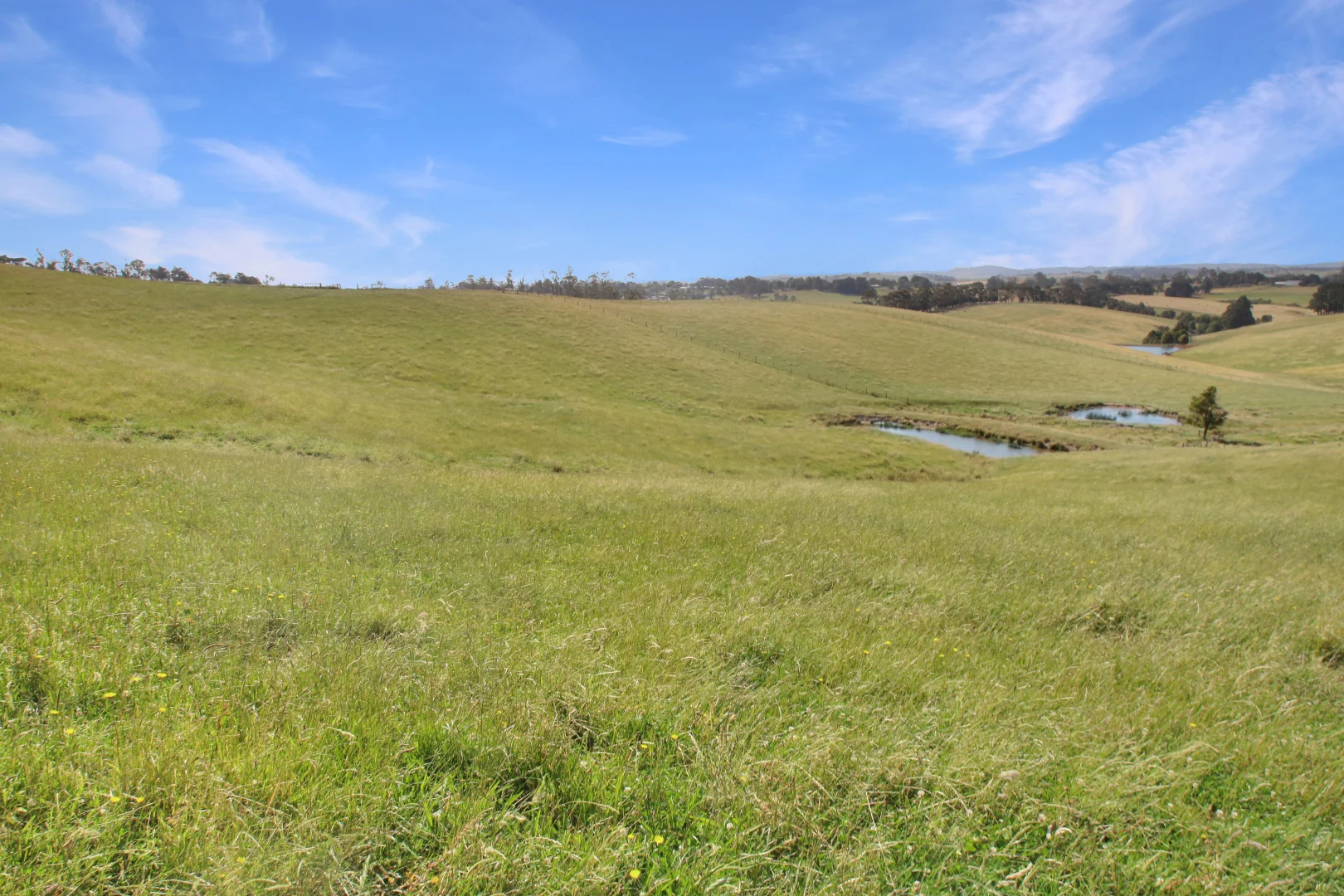 Additional image 18 of 3233 Strzelecki Highway, Mirboo North VIC 3871