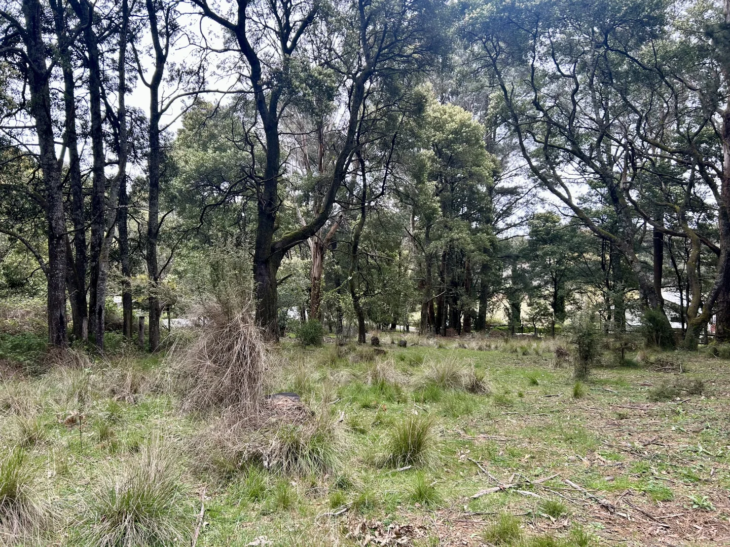 Additional image 8 of 975 Daylesford-Trentham Road, Bullarto VIC 3461