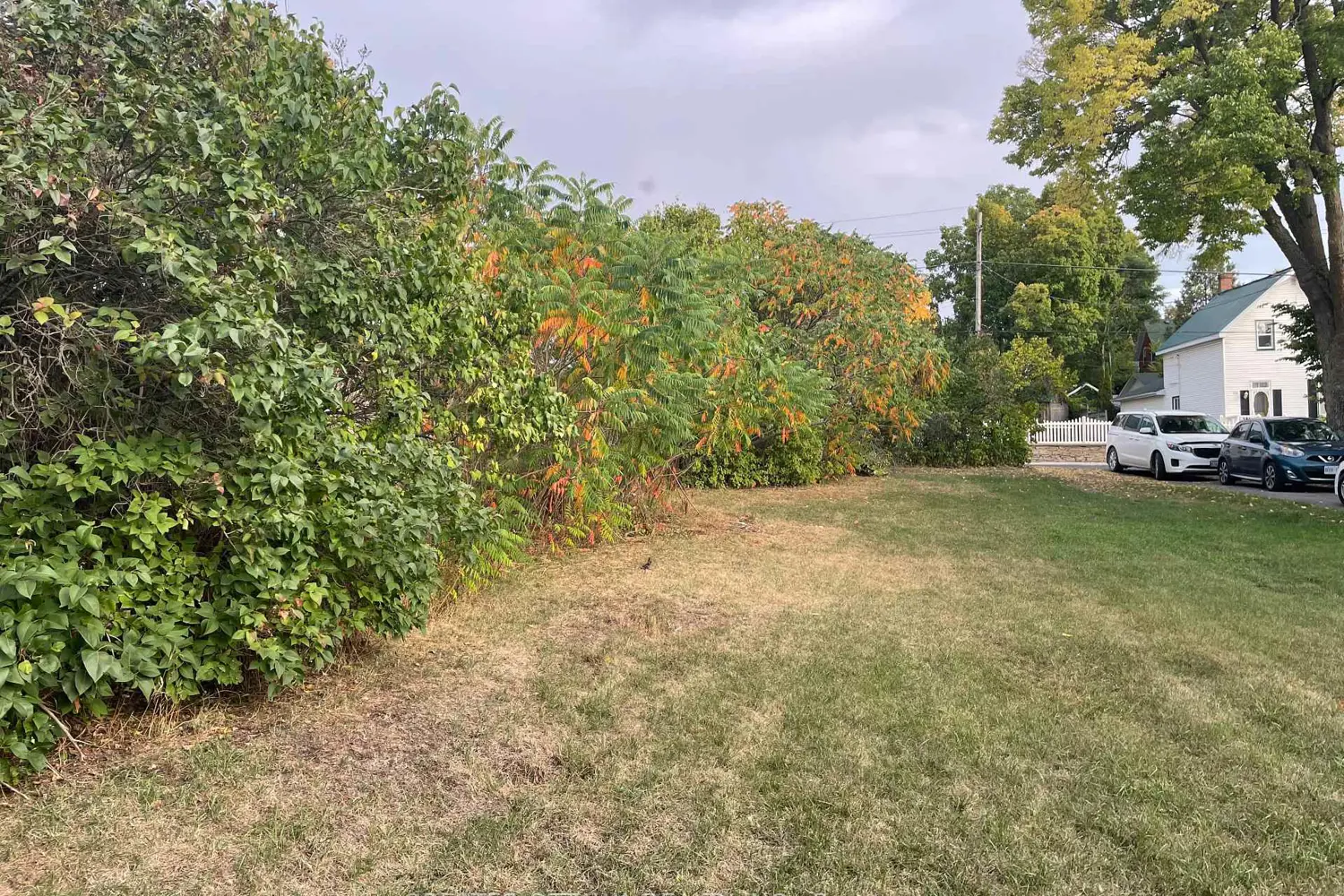 Additional image 3 of 000 Townline Road