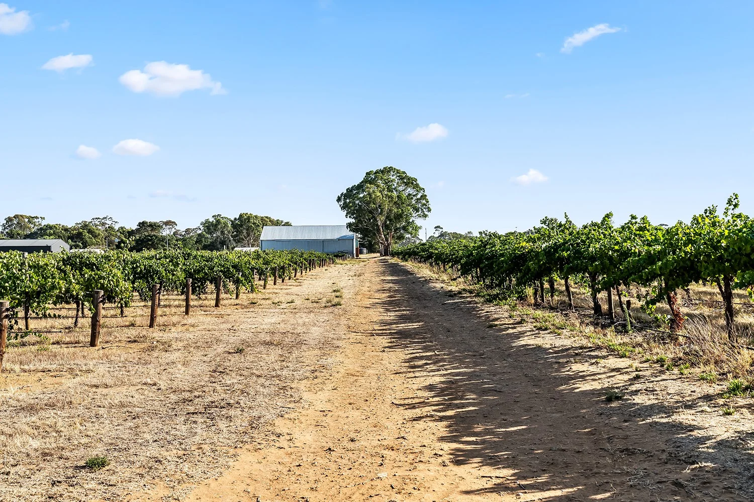 Additional image 21 of 14 Vine Vale Road, Tanunda SA 5352