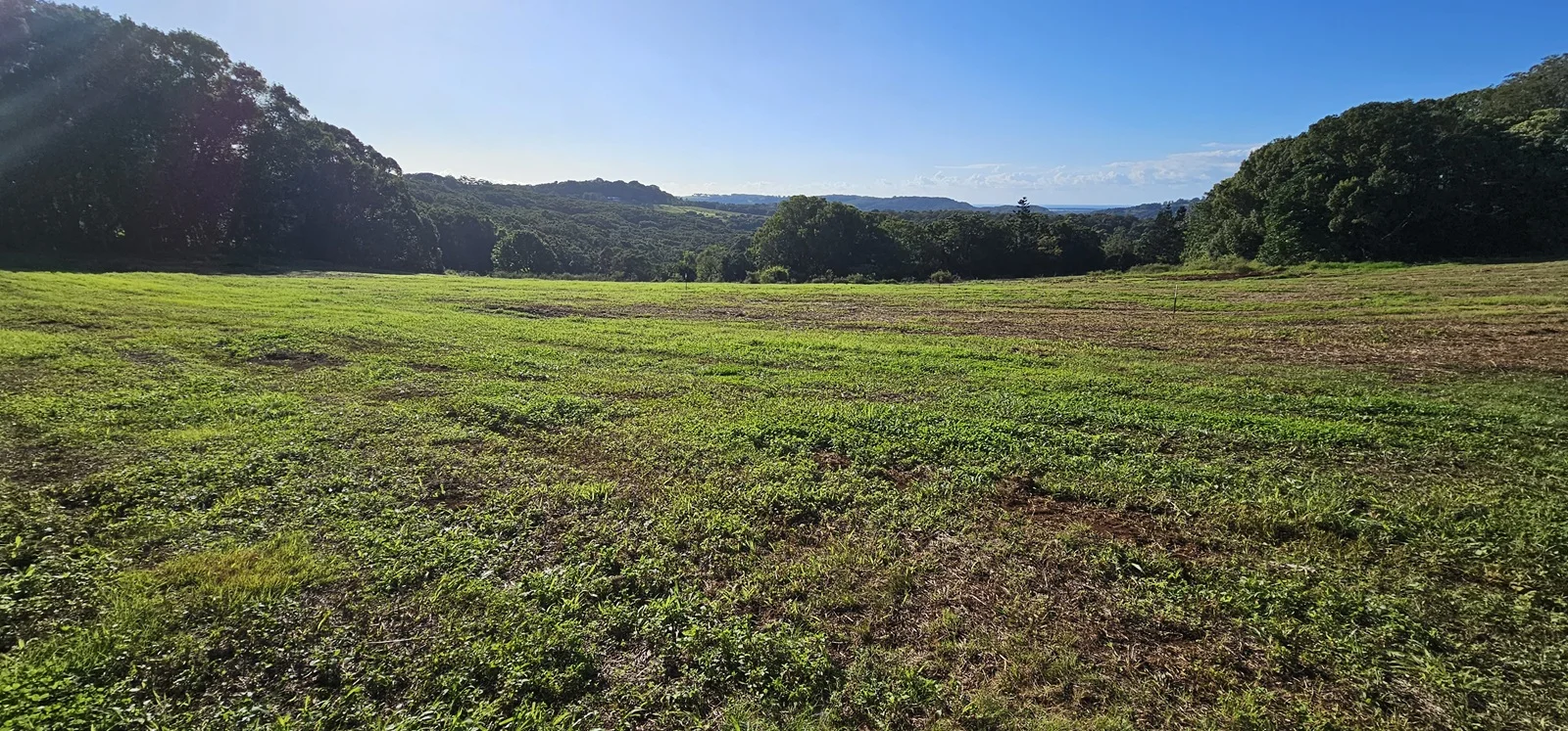 Additional image 21 of Dalwood NSW 2477