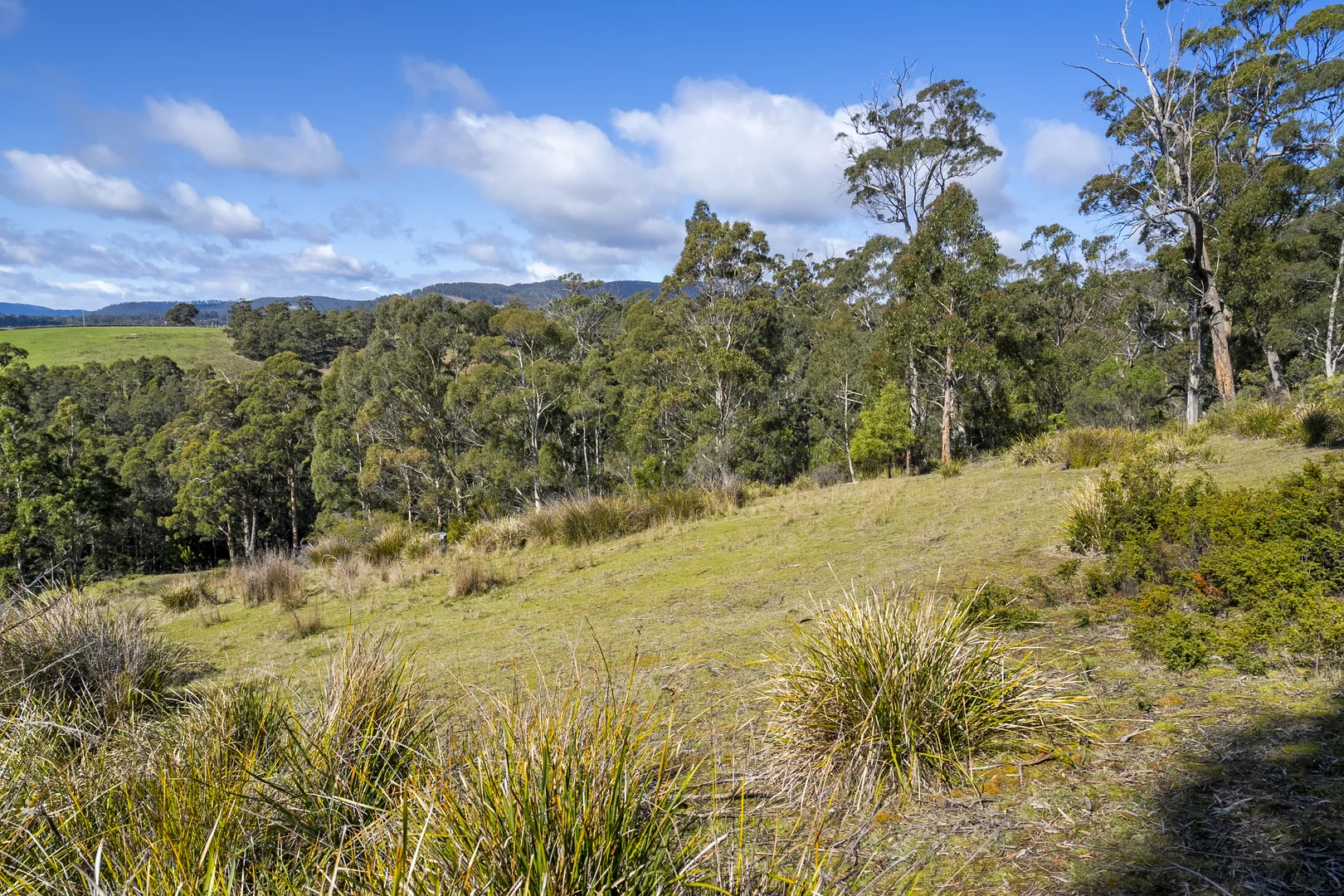 Additional image 13 of 129 Littles Road, Premaydena TAS 7185