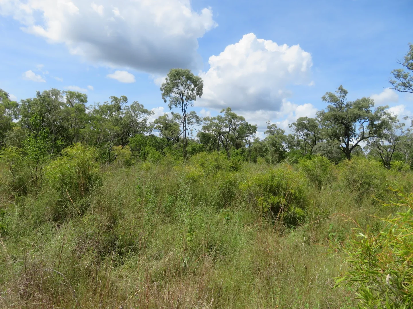 Additional image 28 of 2 Bolwarra Road, Chillagoe QLD 4871