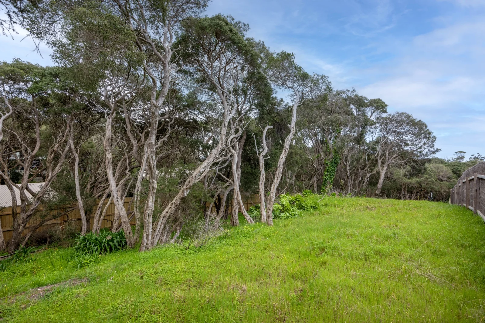 Additional image 5 of 43 Bimbiang Crescent, Rye VIC 3941