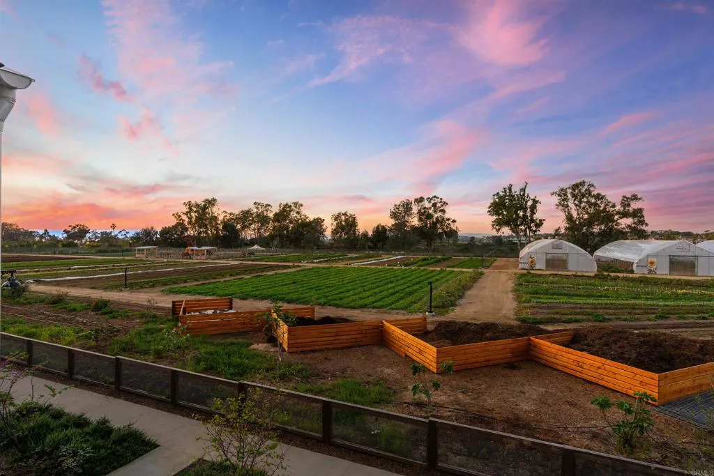 Additional image 40 of 1044 Palmaria Court, Encinitas, CA 92024