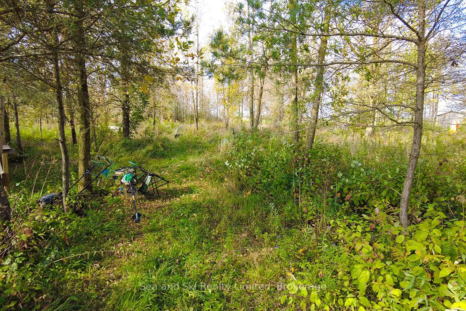 Additional image 13 of 31313 Grey Road 14 Road