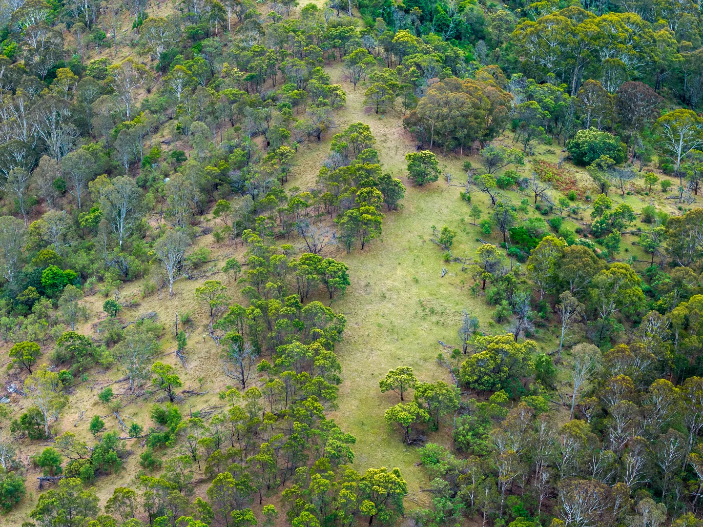 Additional image 2 of Candelo NSW 2550