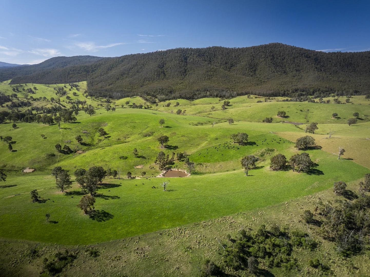 Additional image 29 of 1578 Bindi Road, Bindi VIC 3896