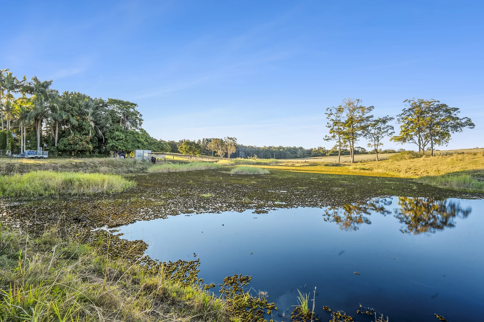 Additional image 8 of 26 Crittenden Road, Glass House Mountains QLD 4518