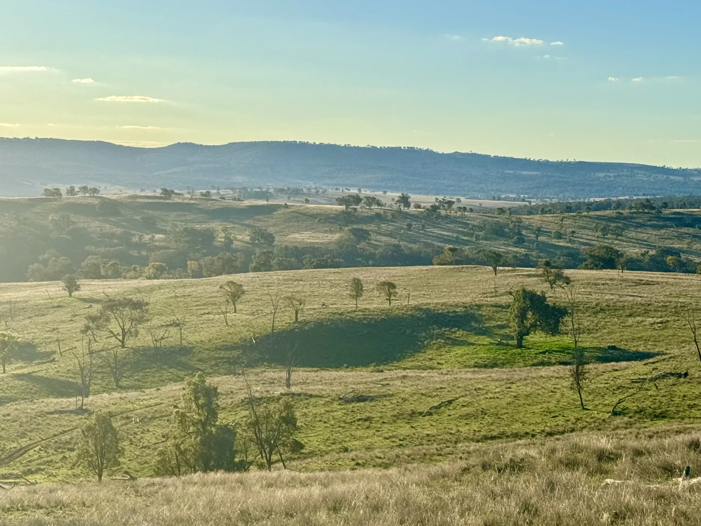 Additional image 32 of "Jemalong" 263 Collier Road, Coolah NSW 2843