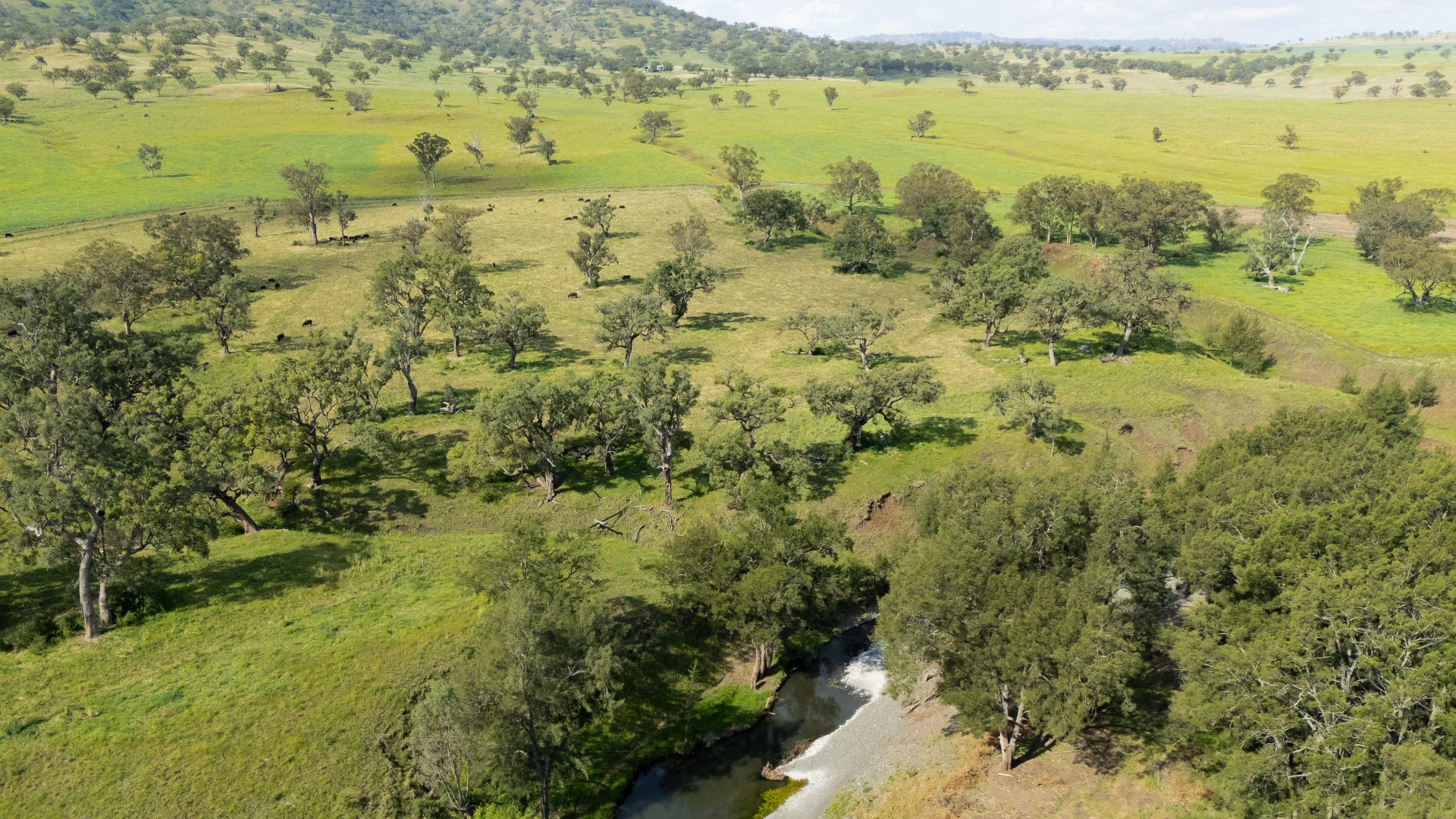 Additional image 30 of 'Kierahmee' 53 Tyrone Rd, Bunnan via, Scone NSW 2337