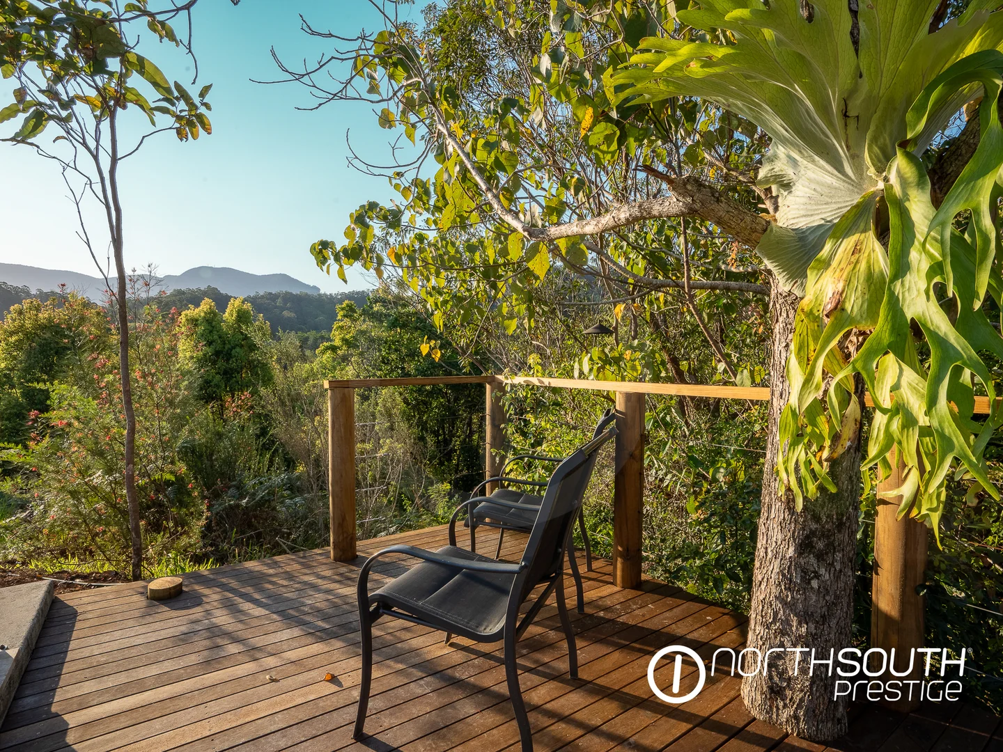 Additional image 25 of 653-681 Nobbys Creek Road, Nobbys Creek NSW 2484