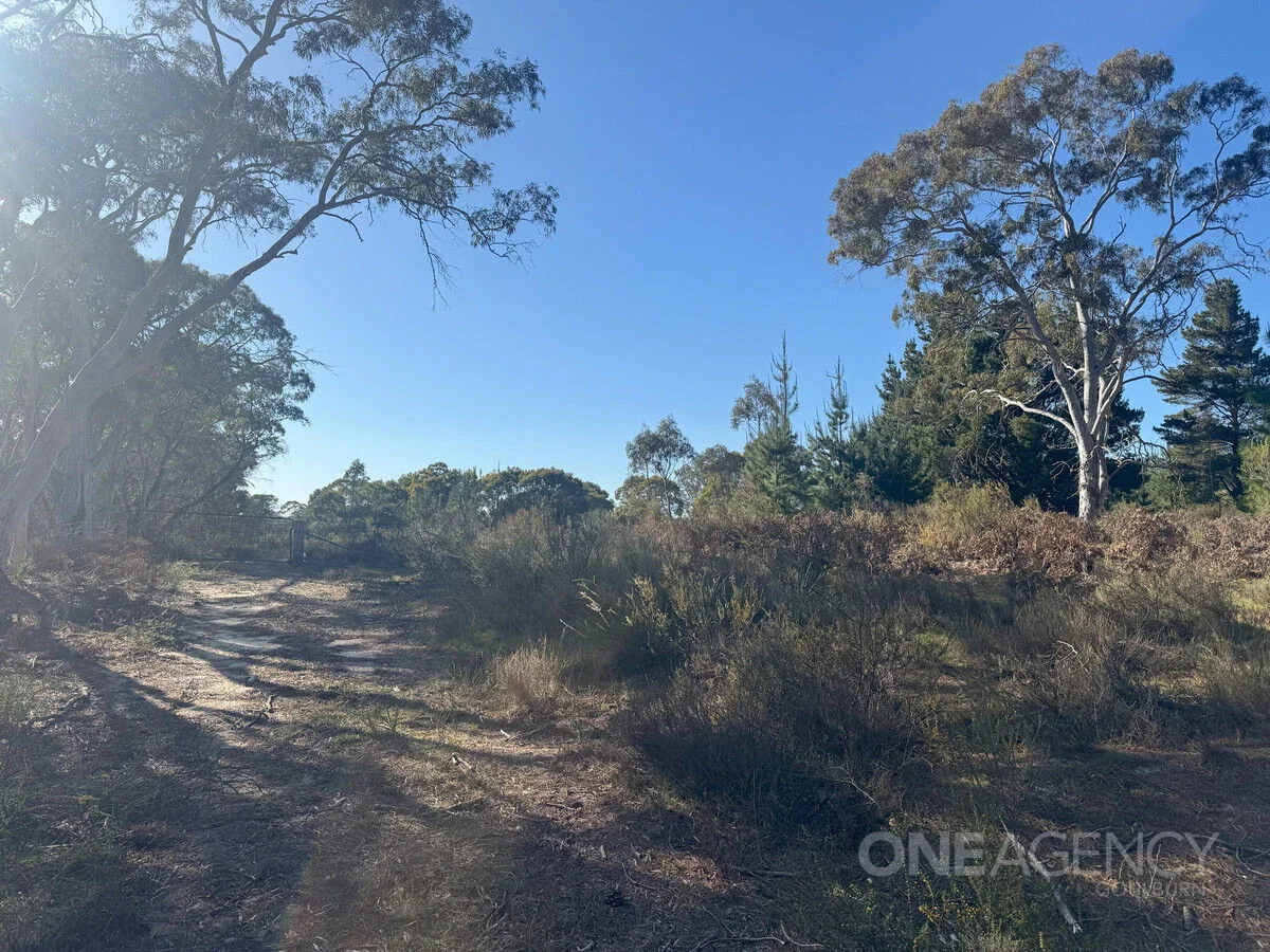 Additional image 6 of 1588 Oallen Ford Road, Oallen NSW 2622