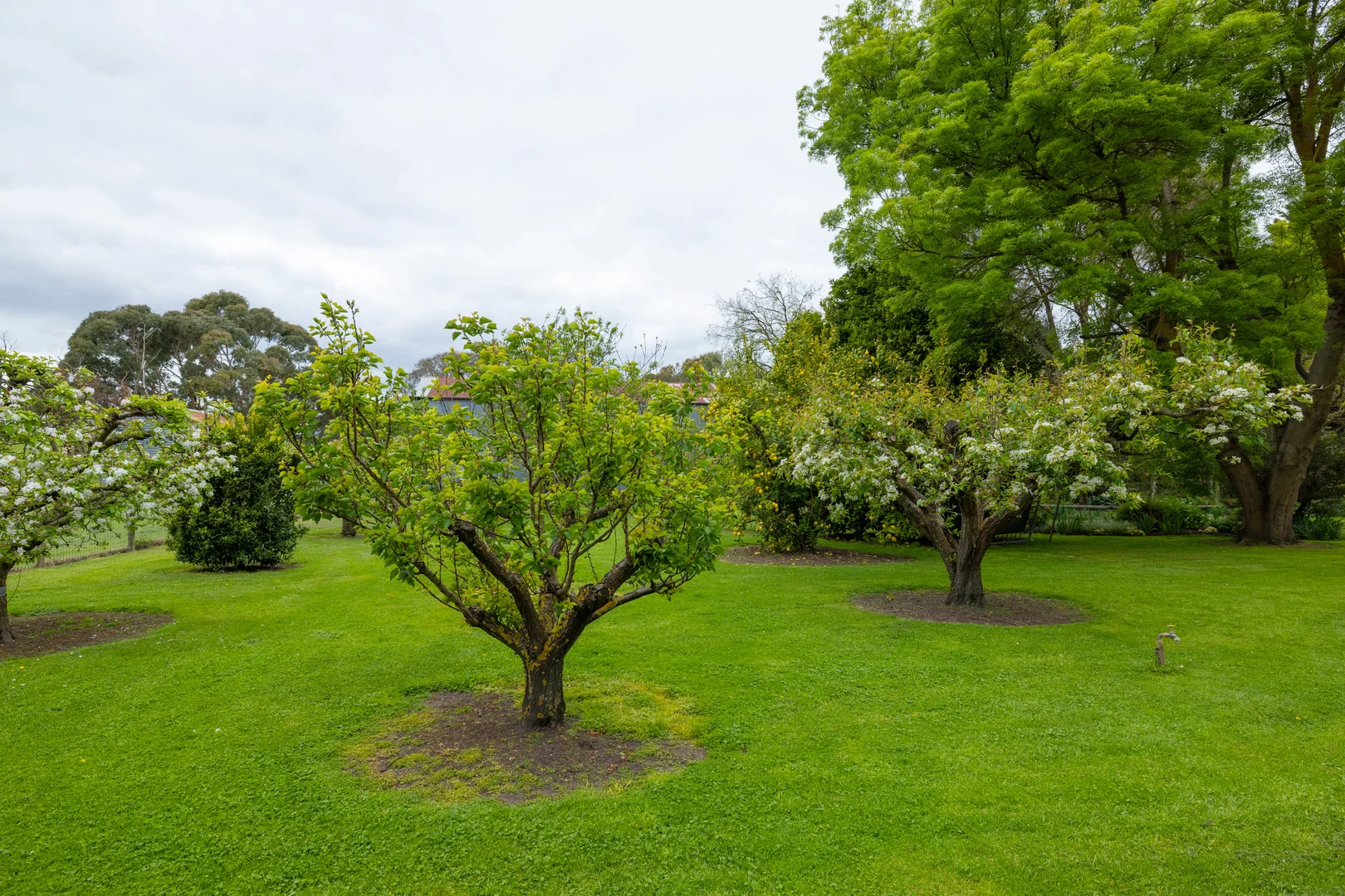 Additional image 20 of 115 Begleys Road, Allansford VIC 3277