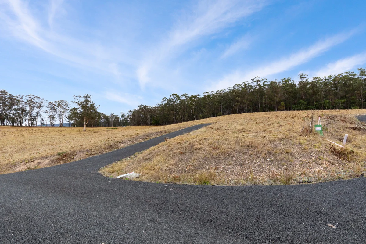 Additional image 11 of 17 Eucalyptus Lane, Lochiel NSW 2549
