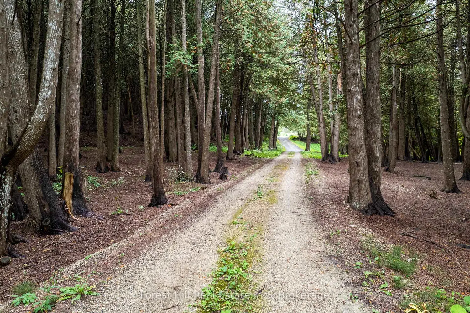 Additional image 3 of 403288 Grey Road 4