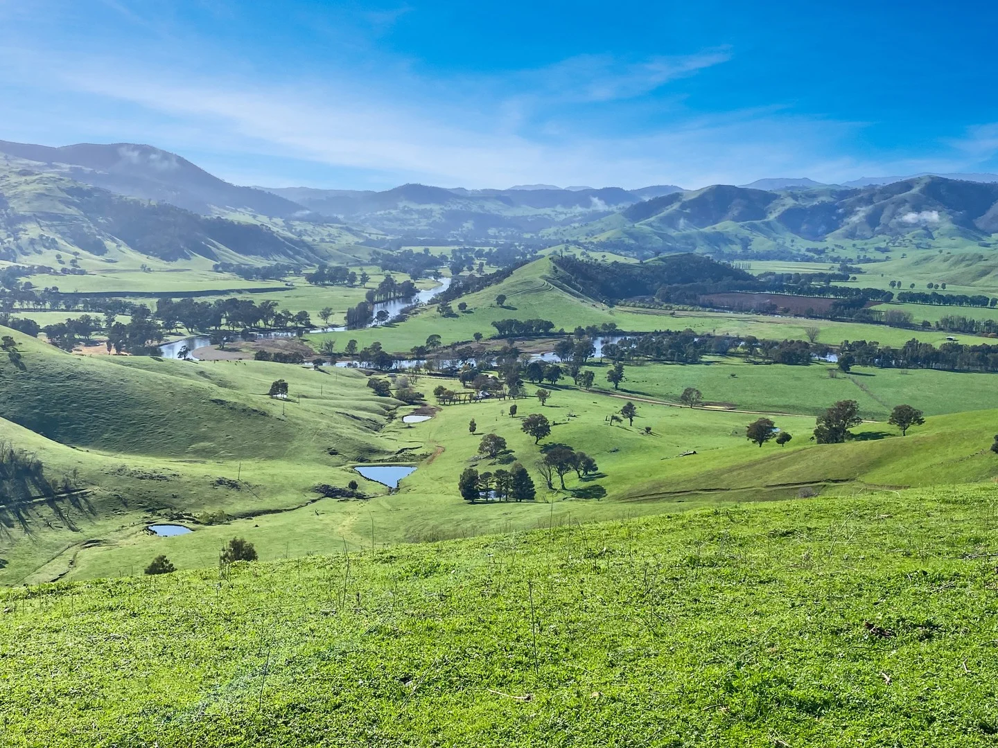 Additional image 2 of 5114 River Road, Jingellic NSW 2642