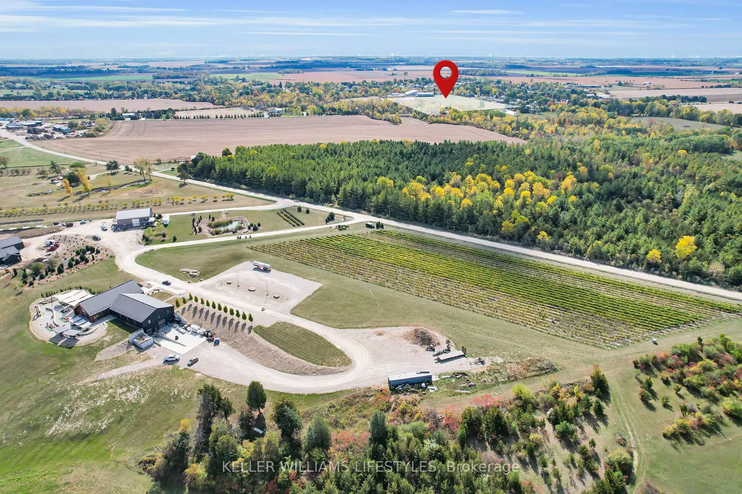 Additional image 16 of 168 Elizabeth Street