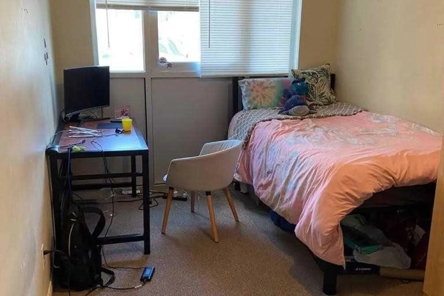 Additional image 7 of 261 Lester Street 101