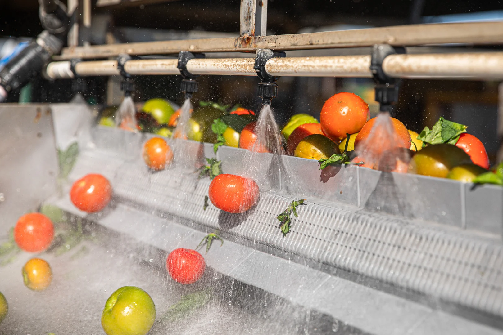 Additional image 8 of 37 Inveroona Road, Bowen QLD 4805