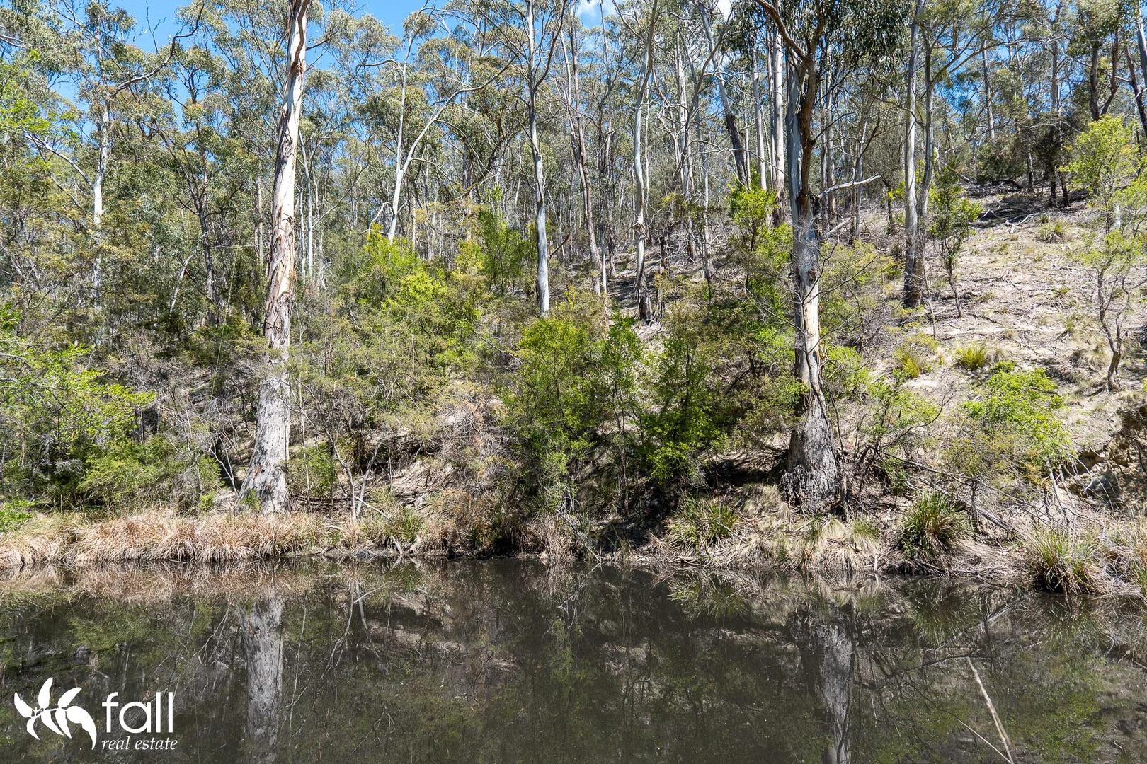 Additional image 23 of 402 Bruny Island Main Road, North Bruny TAS 7150