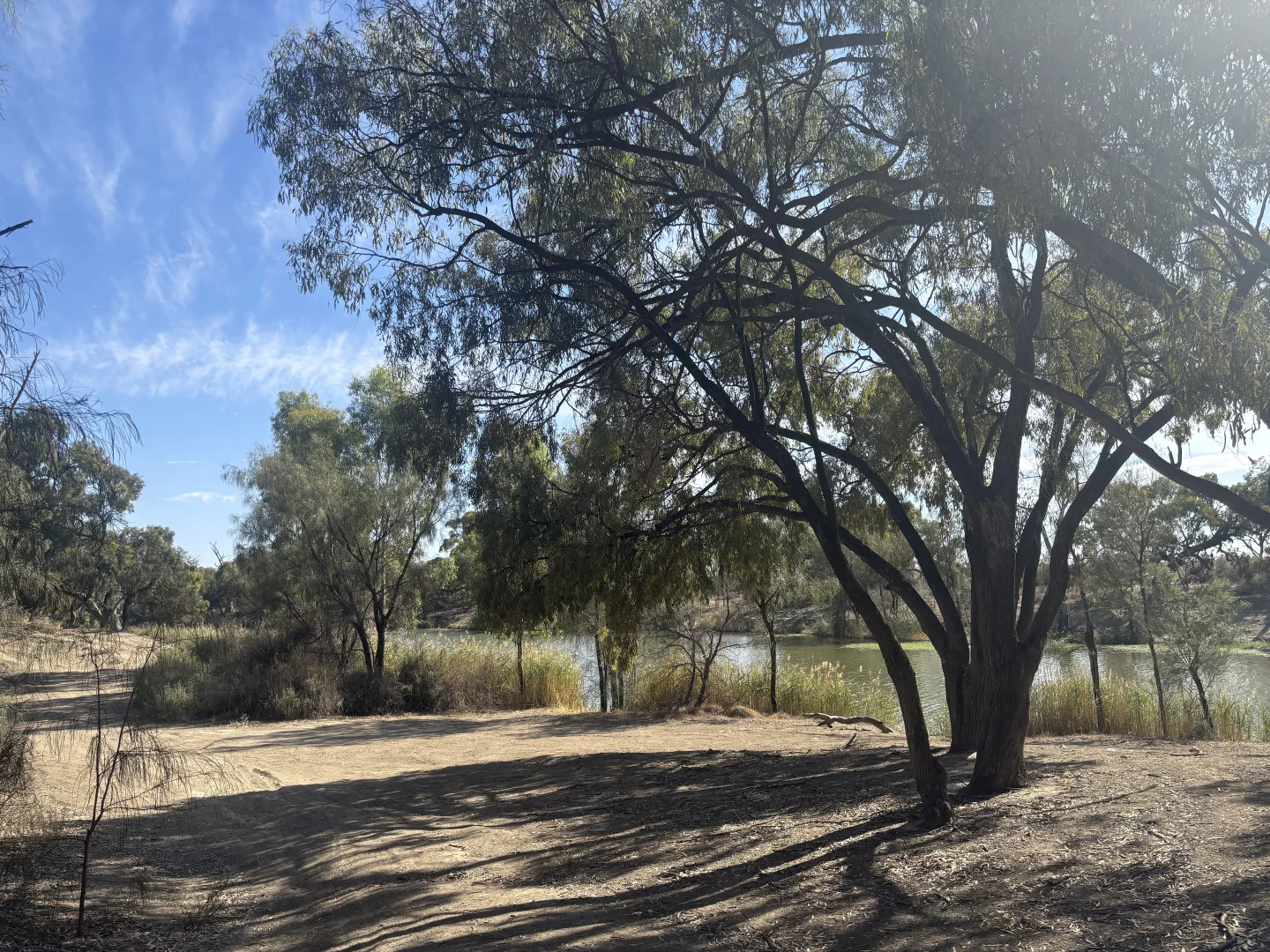 Additional image 14 of 43 Creek Road, Curlwaa NSW 2648