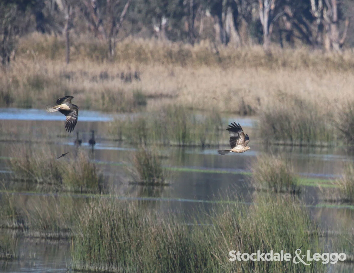 Additional image 36 of Pearsondale VIC 3851