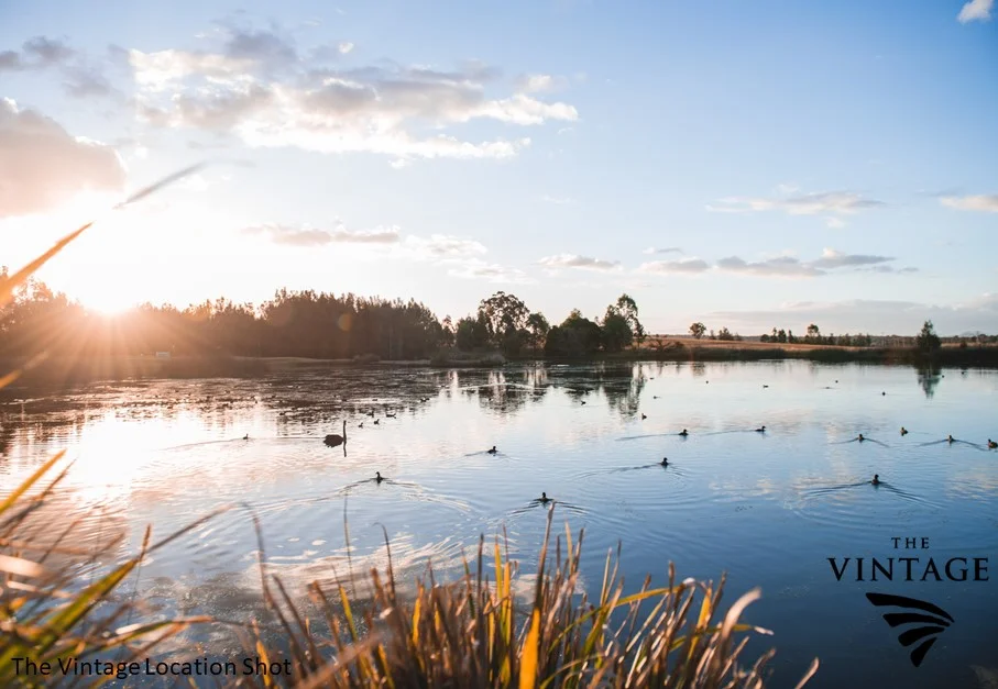 Additional image 27 of 7 Fig Tree Crescent, Pokolbin NSW 2320