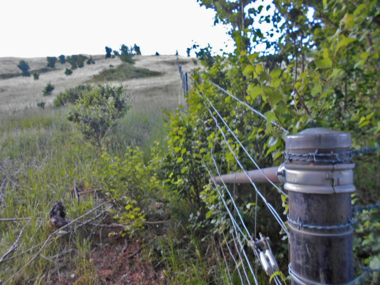 Additional image 18 of 30 Hanley & Moon Street, Gundagai NSW 2722