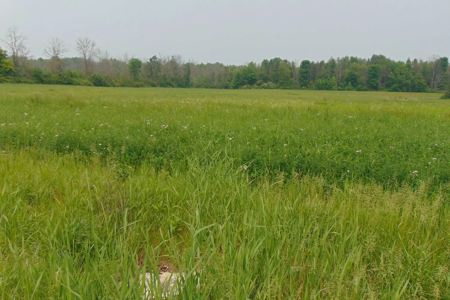 Additional image 2 of 00 Charleville Road