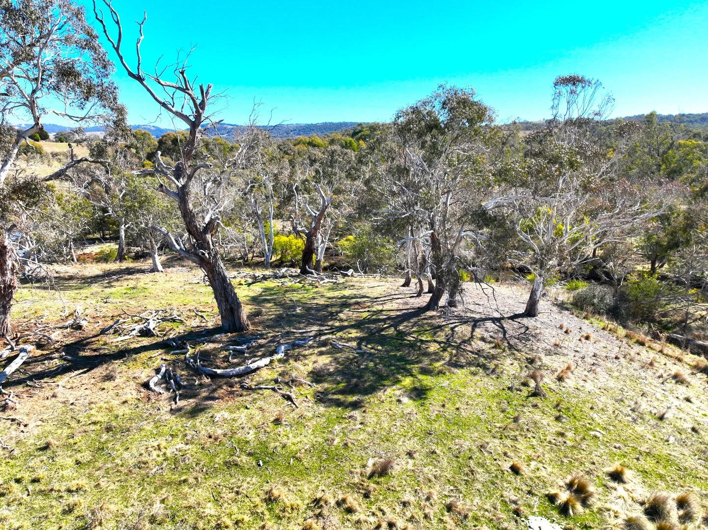 Additional image 5 of Lot 68 Delegate Road, Delegate NSW 2633