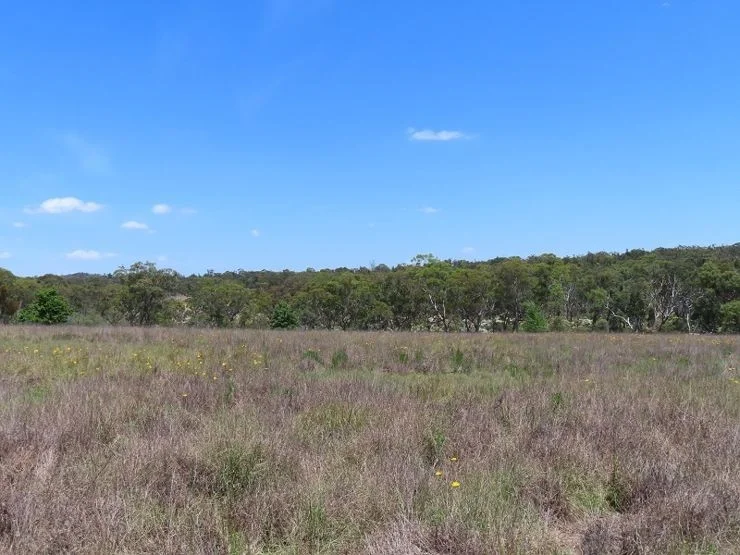 Additional image 11 of Bents Road, Ballandean QLD 4382