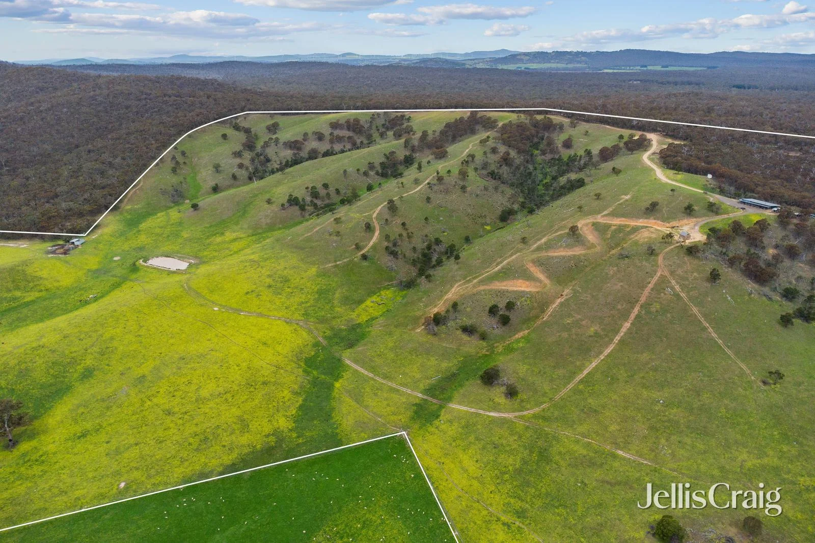 Additional image 30 of Lot 8 Ben Major Track, Mount Lonarch VIC 3468