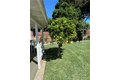 Additional image 42 of 11508 Old River School Rd, Downey, CA, 90241