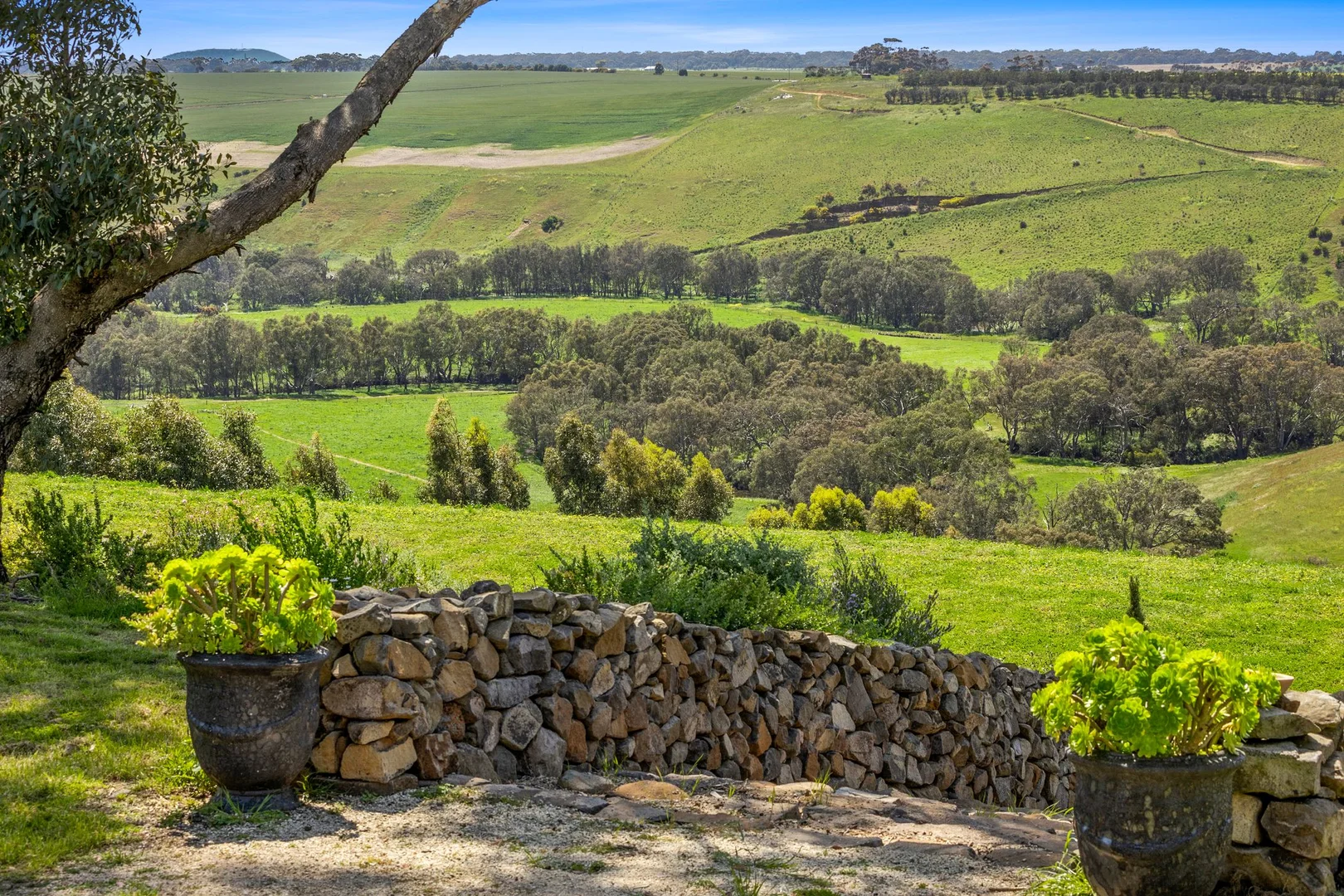 Additional image 5 of 2300 Midland Highway, Bannockburn VIC 3331