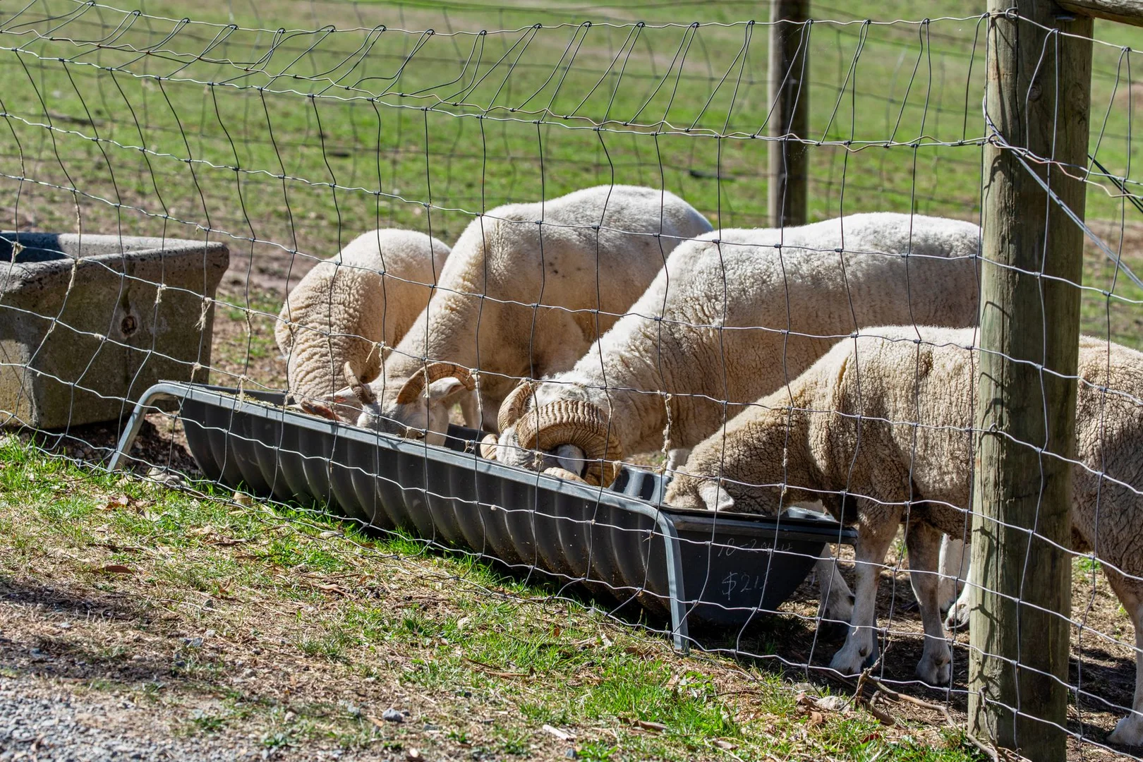 Additional image 28 of 20 Lester Drive, Nyora VIC 3987