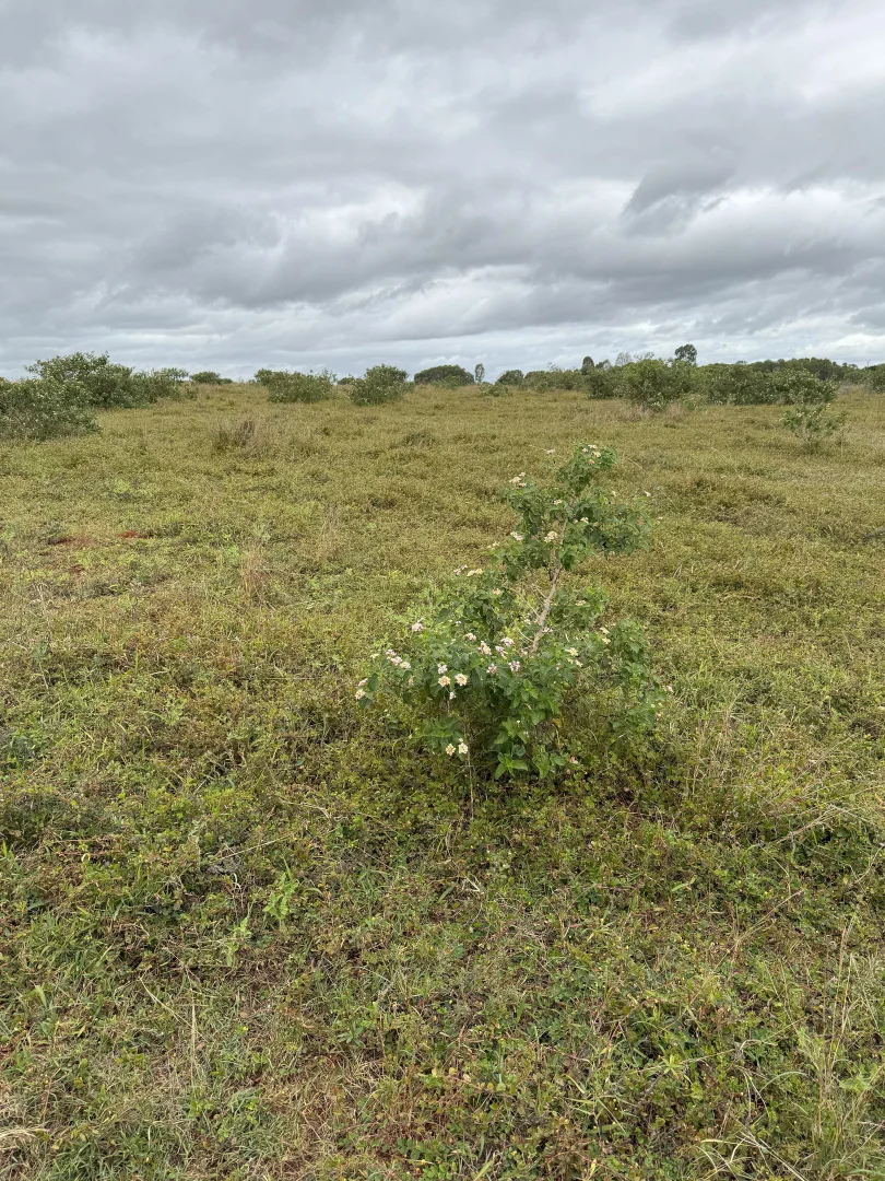 Additional image 4 of 34 Bellottis Road, Oakdale QLD 4605