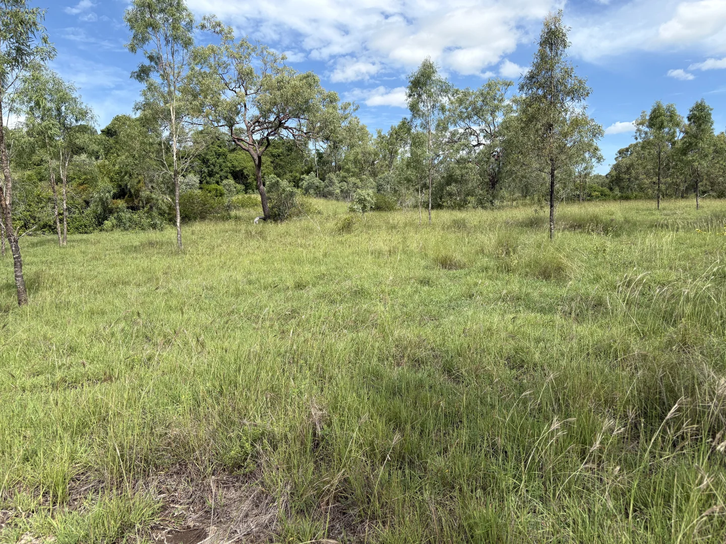 Additional image 15 of 0 Pipeline Road, Nine Mile QLD 4702