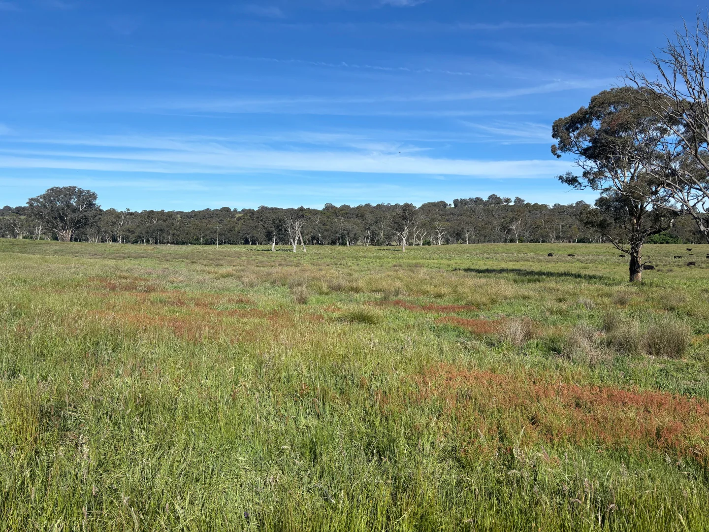 Additional image 25 of 1050 Garland Road, Garland NSW 2797