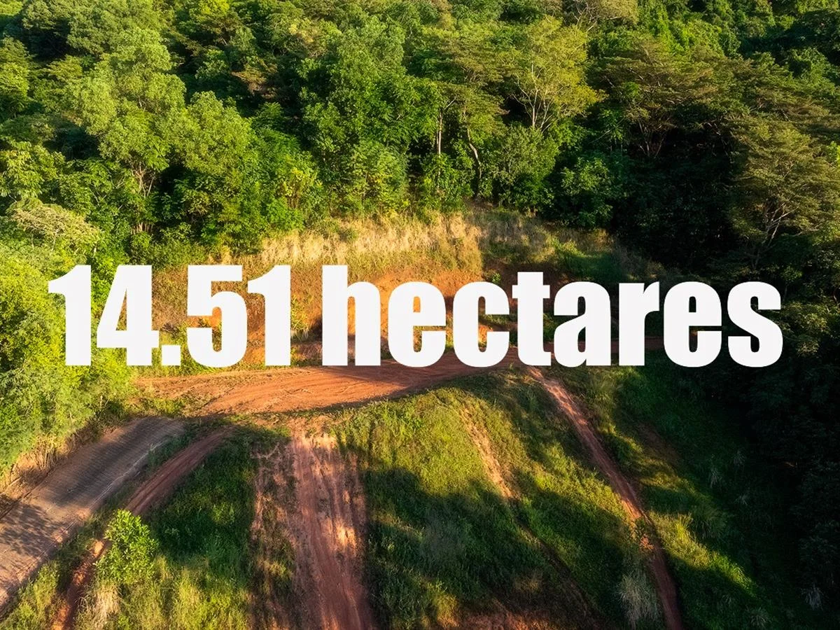 31 Harvey Road, Redlynch QLD 4870